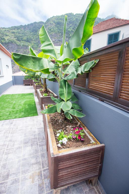 Oliveira'S Apartments - Madeira Island Πόντα Ντελγάδα Εξωτερικό φωτογραφία